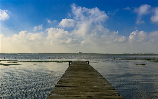 苏州相城打造特色田园乡村 留住舌尖上的乡愁_fororder_14