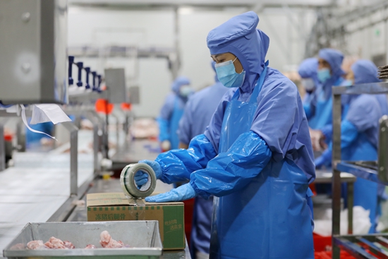 贵州龙里：加紧扩能生产 食品保供有保障_fororder_工人在高金食品车间包装猪肉.JPG