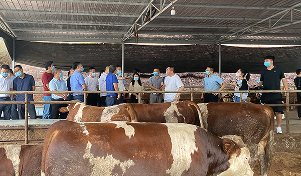 自贡市秸秆综合利用及露天禁烧工作现场会在富顺县召开_fororder_现场观摩