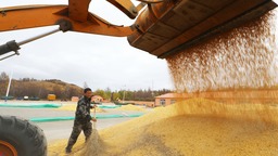 內蒙古呼倫貝爾：科技賦能 豐産增收