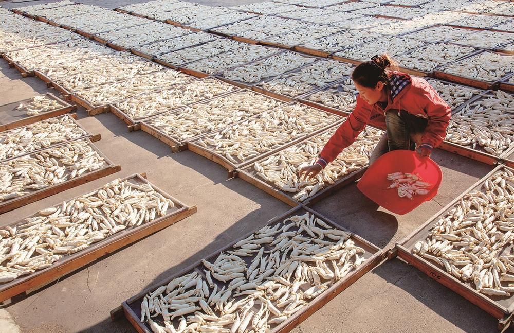 林海参乡 生态白山_fororder_b2a5e1aa-c4db-4896-b53f-43cd5845fd95