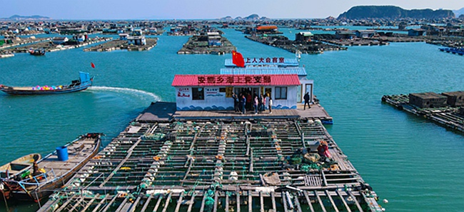 福州连江：做足海的文章  带动乡村振兴