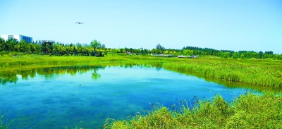 北京2018年再添2200公顷湿地景观