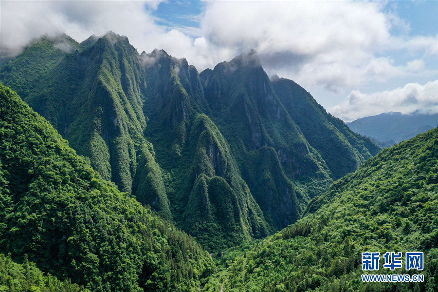 湖北鶴峰：雲海升騰天泉山