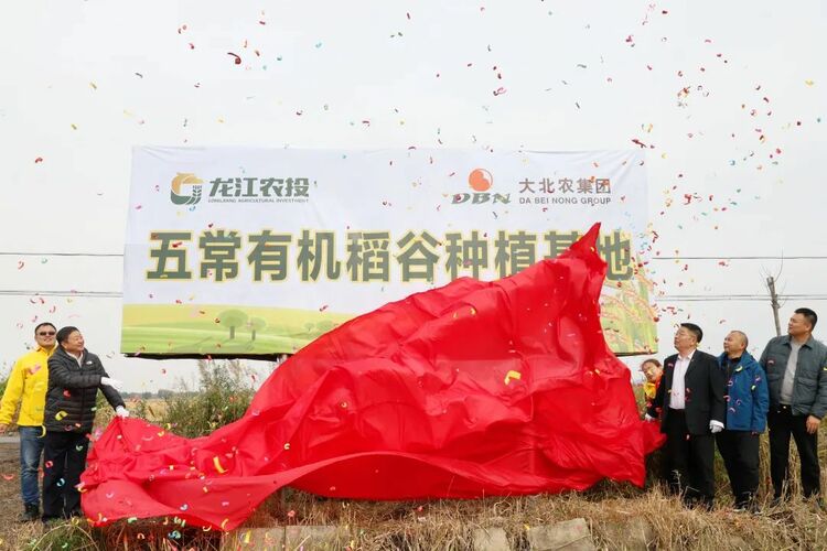 農投集團與大北農集團舉行五常有機稻穀種植基地揭牌儀式_fororder_微信圖片_20221011110130