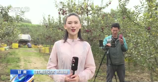 一线调研丨电商助销 物流助运 资金助力！全产业链促进乡村振兴