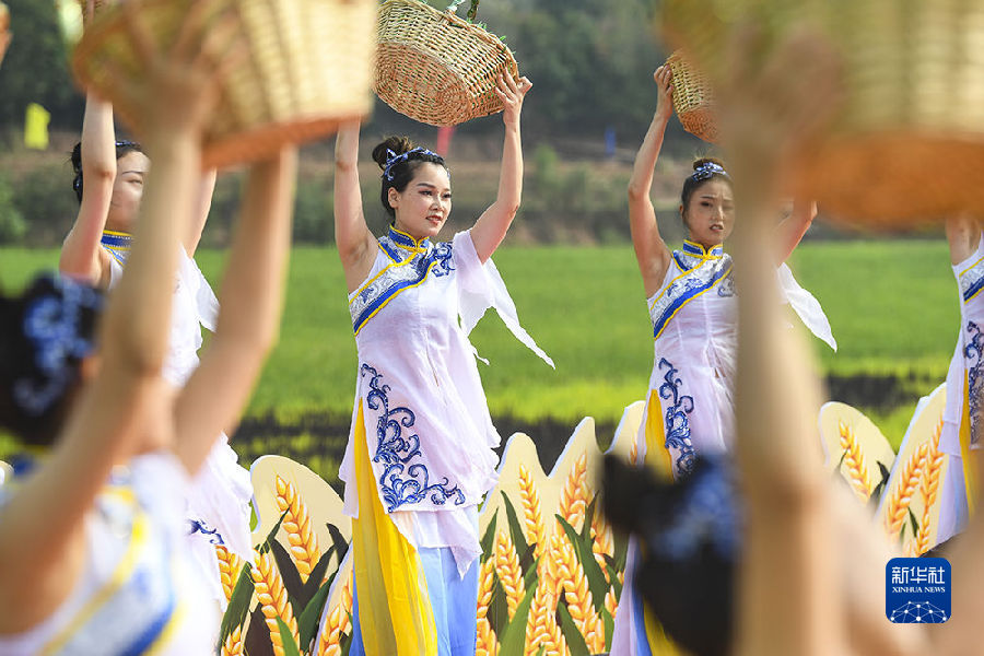 重慶永川舉辦慶祝豐收節活動