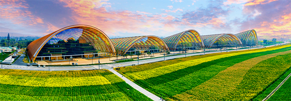 成都新津：赏天府农博园别样“丰”景_fororder_天府农博·主展馆-供图-成都新津区委宣传部