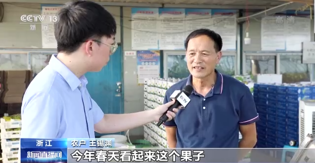 一线调研丨电商助销 物流助运 资金助力！全产业链促进乡村振兴