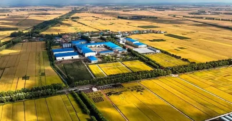 绥化市北林区：5G智慧农业里的“稻作”共生_fororder_微信截图_20220919130943