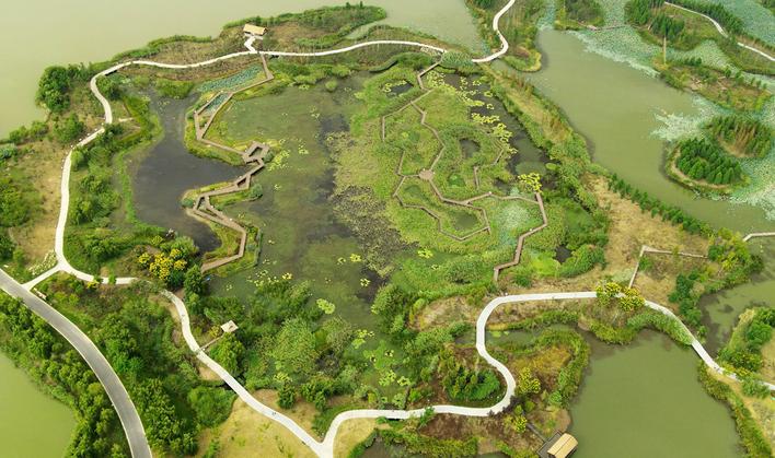 扬州北湖国家湿地公园秋景如画