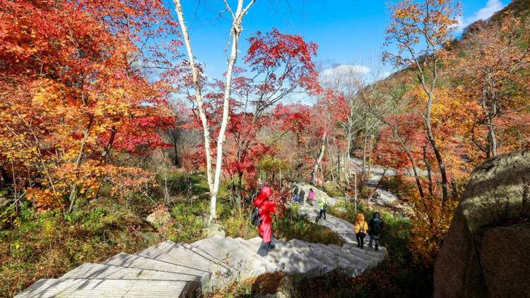 本溪：楓紅景美秋意濃