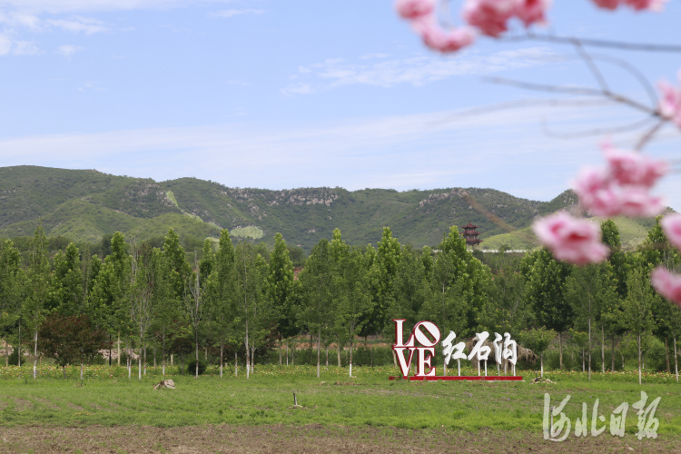 邢台沙河：多彩田园游人醉