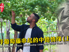 【我在中國挺好的·第二季】探尋葡萄藤串起的中德情緣（上）