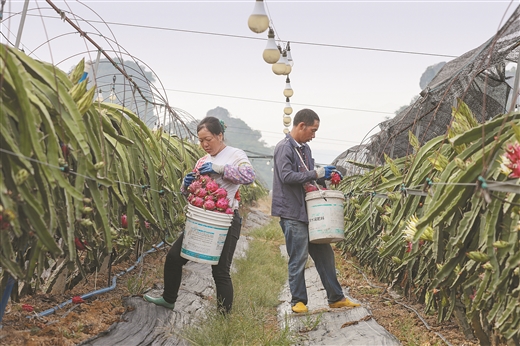 廣西南寧：燈光秀點亮致富路