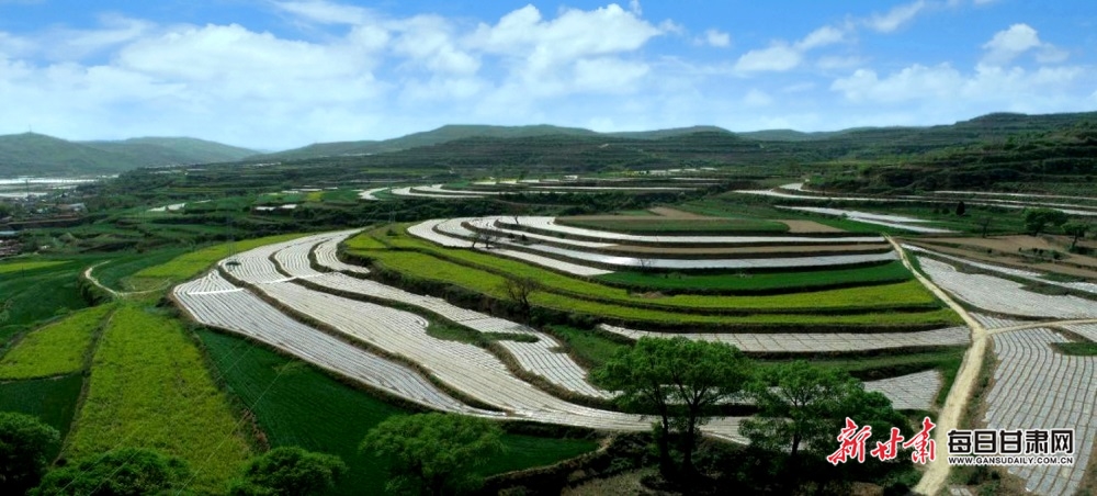 平涼崇信：治理水土流失 打造垣上新風景_fororder_2