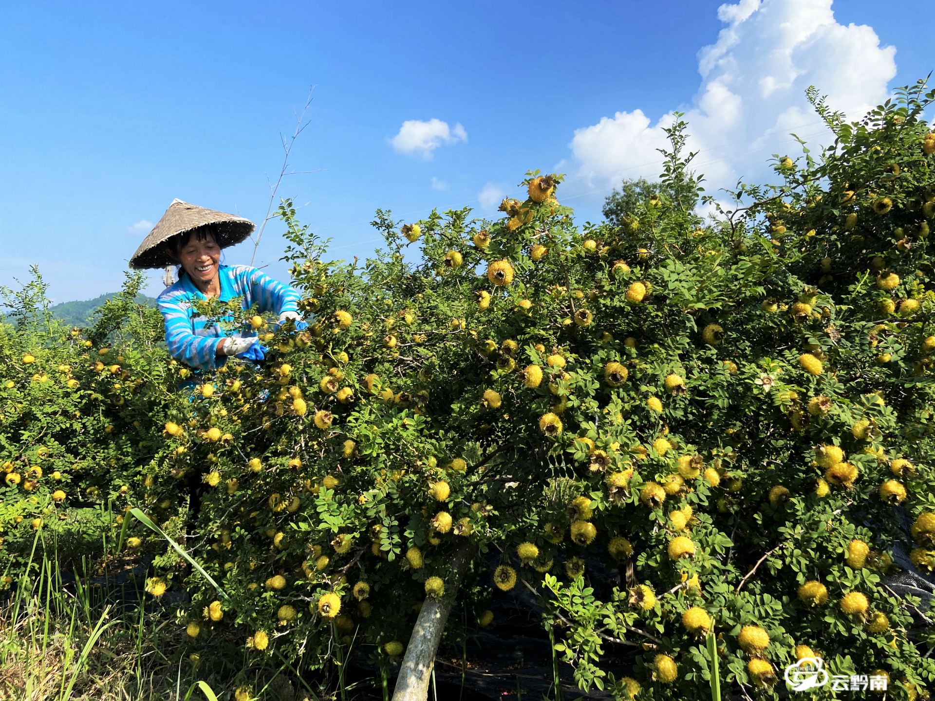 都匀市多举措全面推动农村基层组织规范高效运行