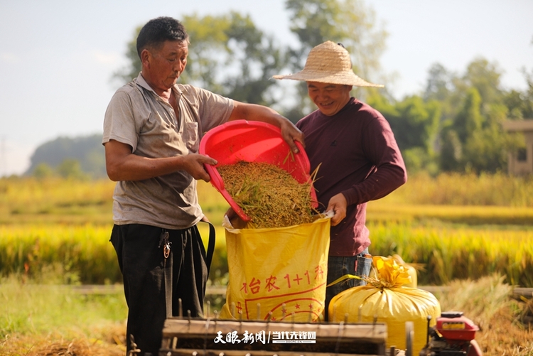 （头条）“粮策”稳粮仓 ——贵州省农业丰收“三重奏”系列报道之一