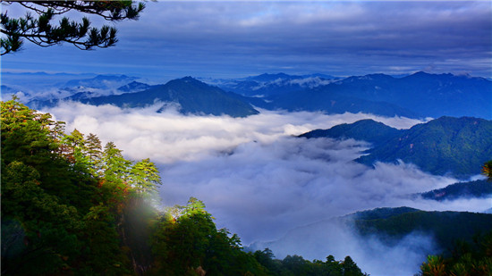 南陽內鄉：科普樂園寶天曼_fororder_神秘的寶天曼之雲海 供圖 河南內鄉寶天曼國家級自然保護區管理局.JPG