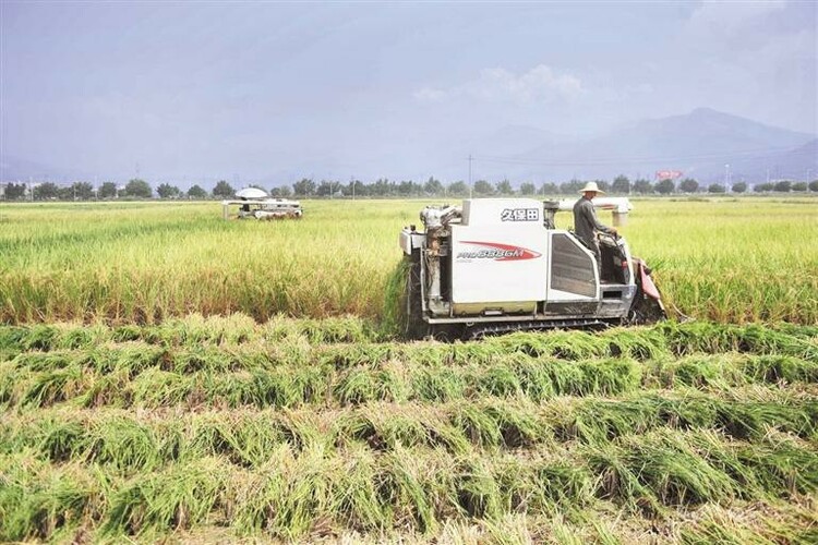 黔贵大地秋收忙_fororder_3