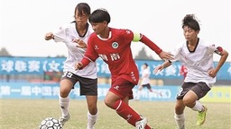 中国青少年足球联赛创新机制促进融合