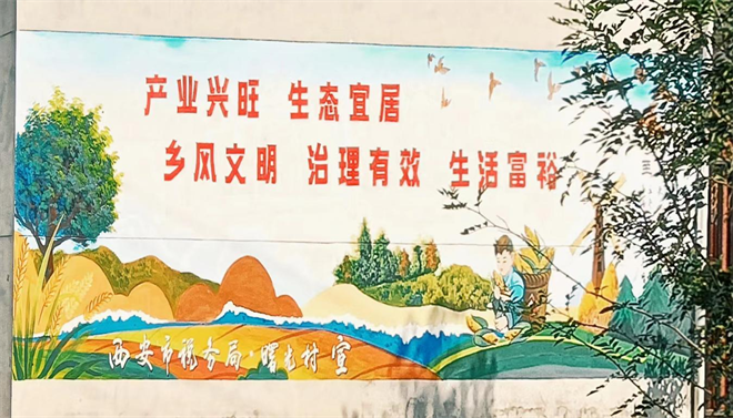 西安市长安区：多彩“文化墙”绘出乡村振兴“精气神”_fororder_图片2