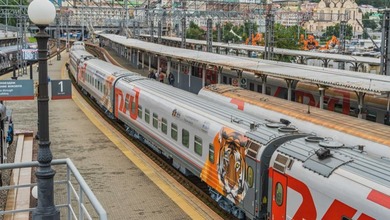俄罗斯：老虎主题列车亮相