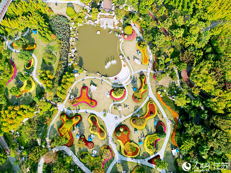 江苏南通：紫琅花谷宛如秋日画卷