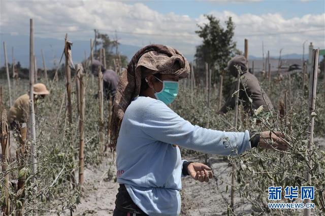图片默认标题_fororder_0811火山4
