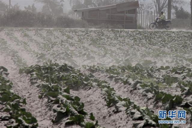 图片默认标题_fororder_0811火山3