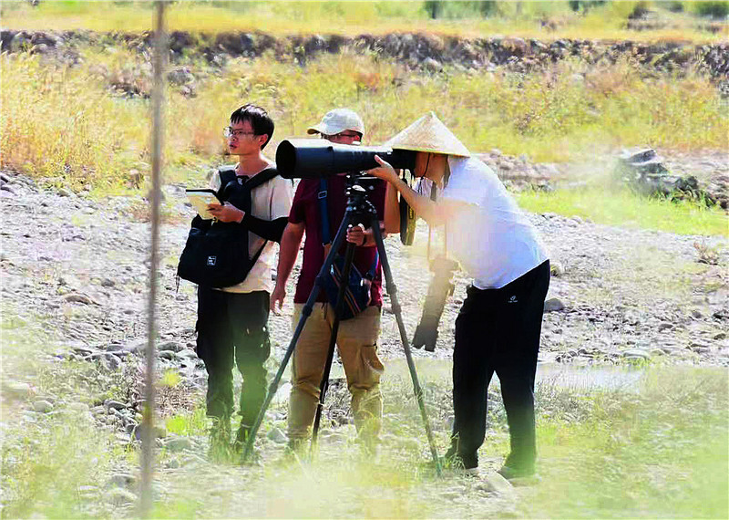 “鸟界国宝”东方白鹳首次现身平顶山市宝丰北汝河湿地_fororder_东方白鹳（Ciconia boyciana）飞翔照片_0106副本