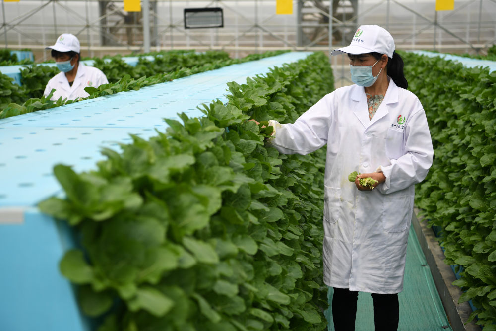 让“菜篮子”装得更满拎得更稳