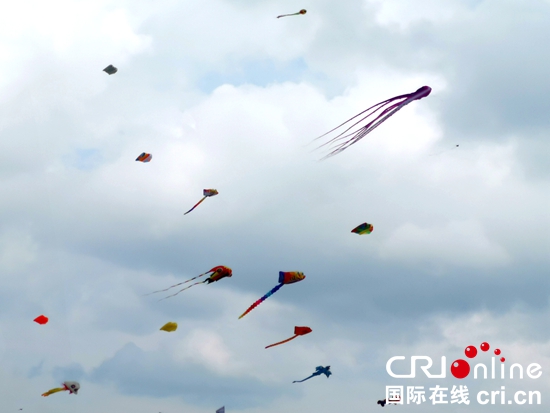 貴州興仁：露營風箏賽各式風箏天空爭奇鬥艷