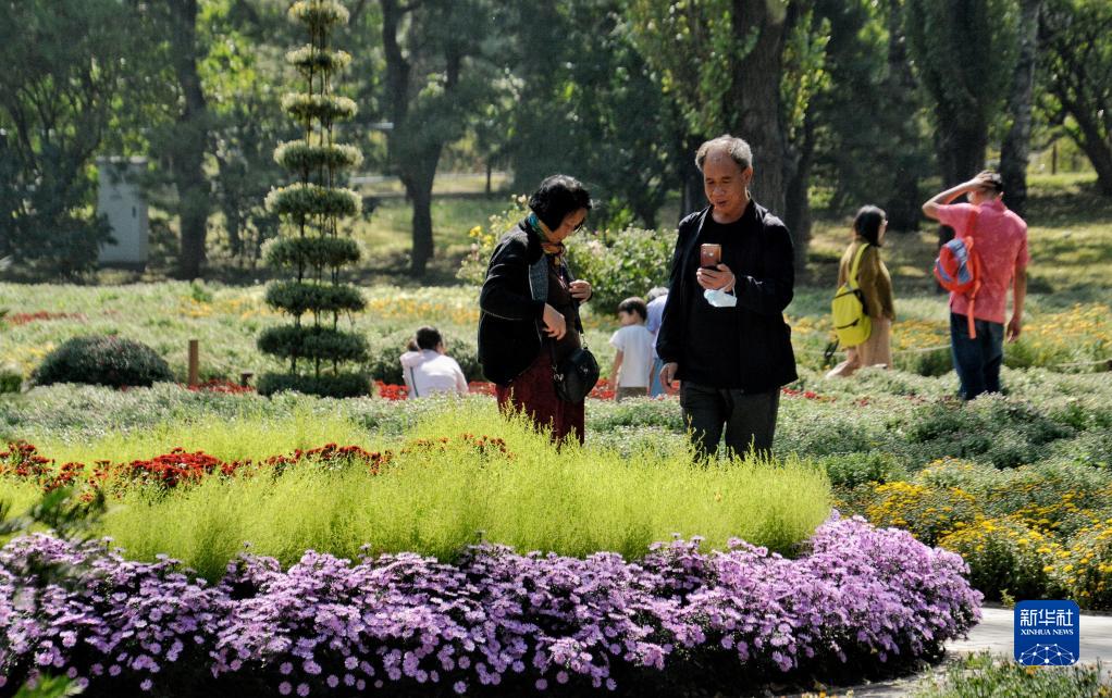 秋日畅游北京植物园