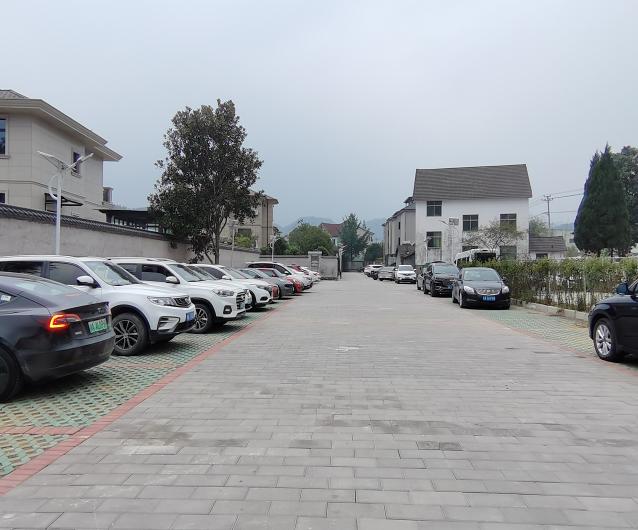 杭州板桥完善路网交通 打通美丽城镇发展“动脉”