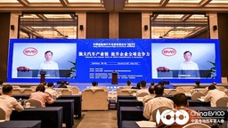 王传福：我国锂资源可满足3亿台电动车需求