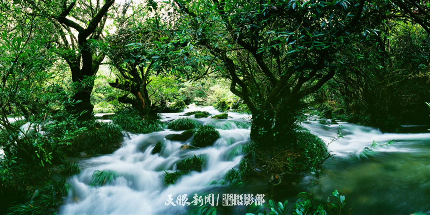 荔波喀斯特綠寶石