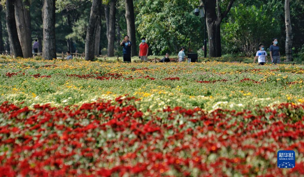 秋日畅游北京植物园