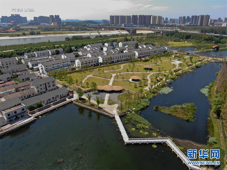 武汉东西湖：美丽乡村吸引能人返乡创业