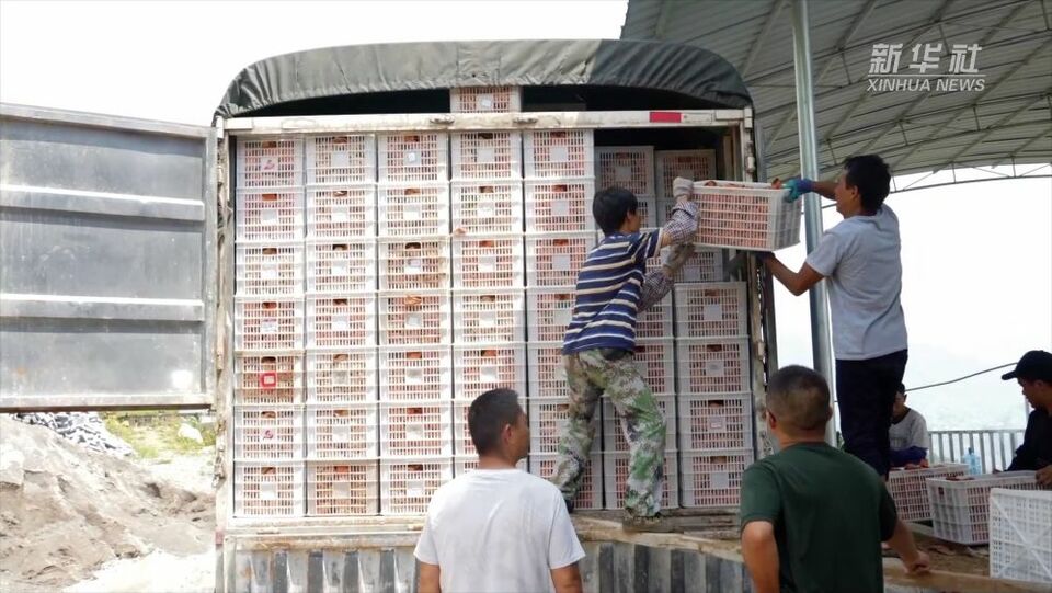 北盘江大桥：让天堑变通途的“世界高度”