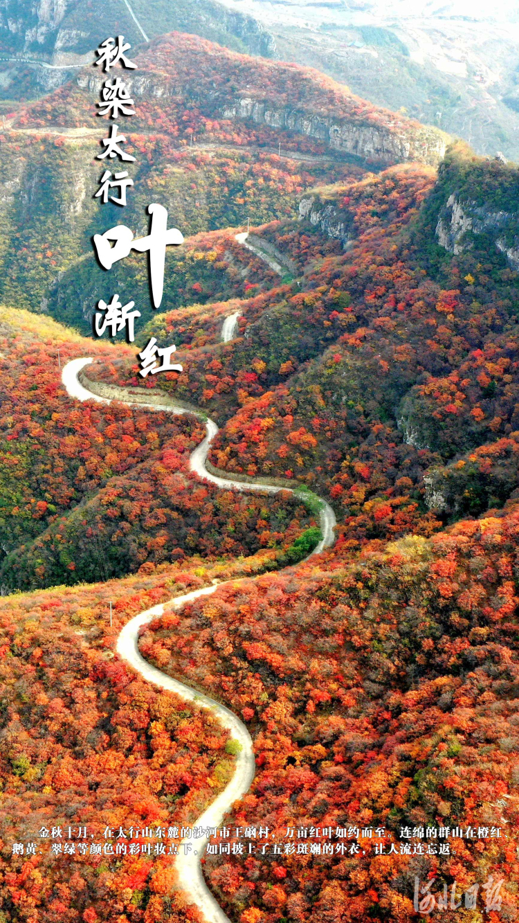 邢台沙河：秋染太行叶渐红