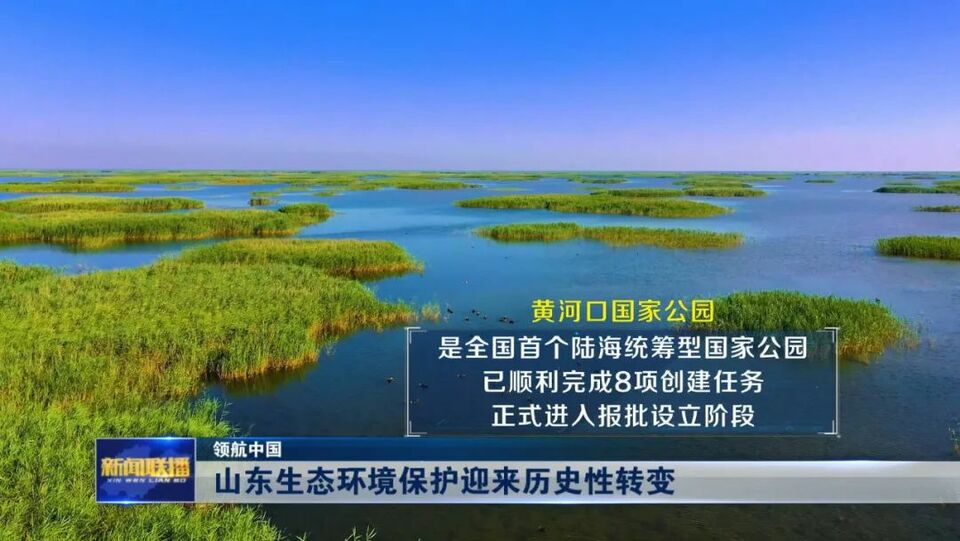领航中国丨山东生态环境保护迎来历史性转变