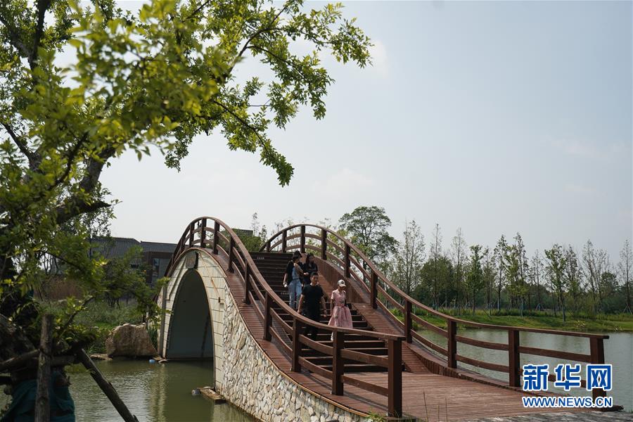 江蘇南京：激發鄉村活力 綻放水鄉魅力
