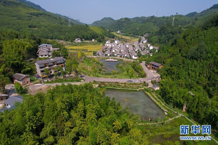 美麗環境繪就重慶鄉村的綠色振興圖