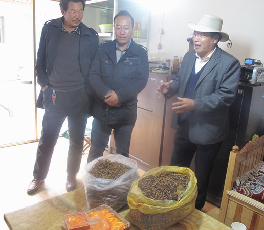 नेपाल-छिङ्गहाइ हार्दिक मित्र