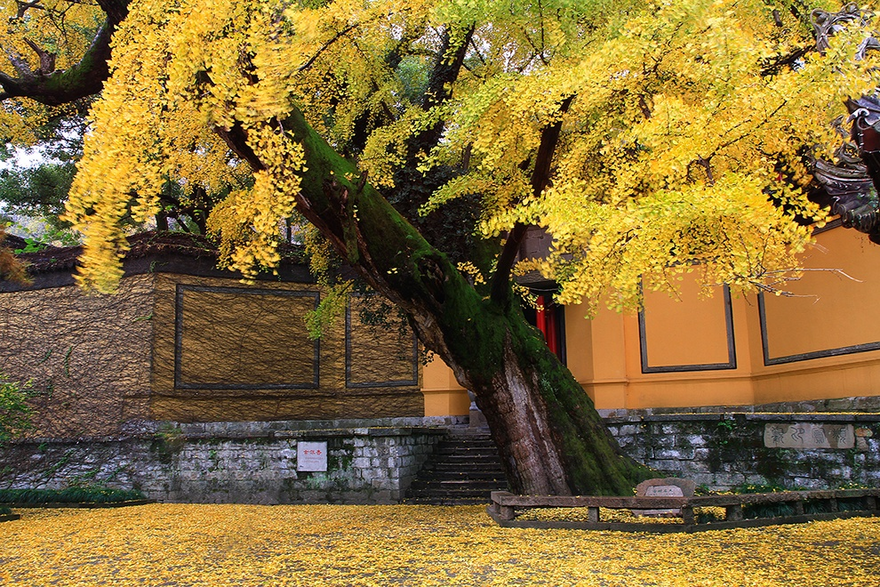 Hello World: This Is Huishan Ancient Town Scenic Area_fororder_图片5