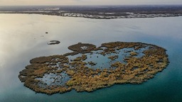 內蒙古烏梁素海：從保護一個湖到保護一個生態系統
