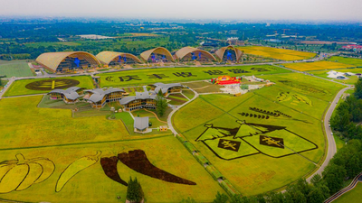 The Main Venue of the 2022 China Farmers Harvest Festival Kicks off in Chengdu, Sichuan