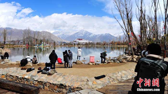 वसन्त ऋतुमा फेरि सेताम्मे ल्हासा