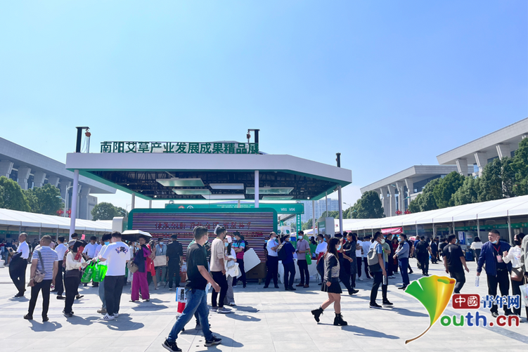 共商中医药创新发展大计 第十届仲景论坛暨第五届中国艾产业发展大会在河南南阳开幕